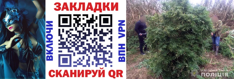 Продажа наркотиков Орехово-Зуево Конопля  Героин  ГАШ  КОКАИН 
