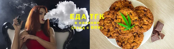 стафф Алексин