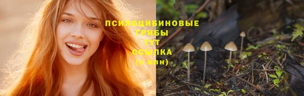 каннабис Алзамай