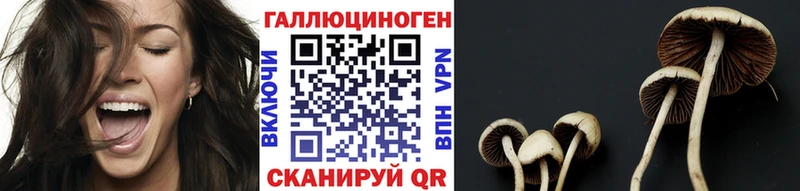 shop как зайти  Орехово-Зуево  Галлюциногенные грибы ЛСД  гидра ТОР 